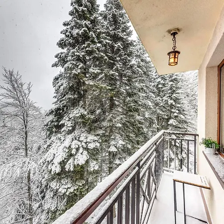 Apartment 1bd Mountain Getaway In With Parking By Flat Mаnager *