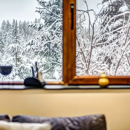 1bd Mountain Getaway In With Parking By Flat Mаnager Pamporovo