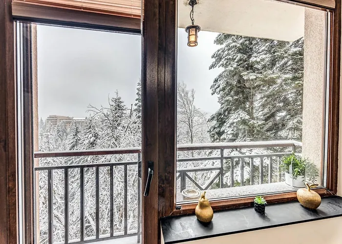 شقة 1bd Mountain Getaway In With Parking By Flat Mаnager بامبوروفو