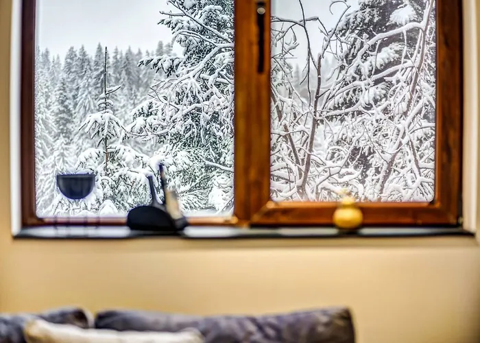 1bd Mountain Getaway In With Parking By Flat Mаnager *